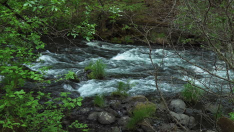 Stream-water-flowing-on-a-rocky-ground-through-a-forest,-near-Burney-Falls,-California