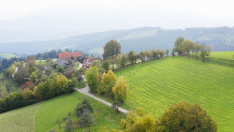 Die-Leere-Landstraße,-Die-An-Den-Malerischen-Feldern-Von-Prevalje,-Slowenien,-Vorbeiführt