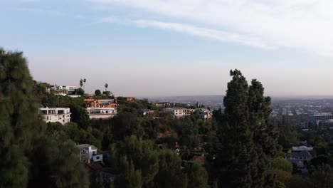 Aerial-rising-shot-through-trees-of-Beverly-Hills-mansions-on-hillside