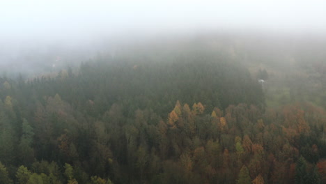 Aerial-shot-of-Central-European-forest-on-cloudy,-foggy-autumn-day