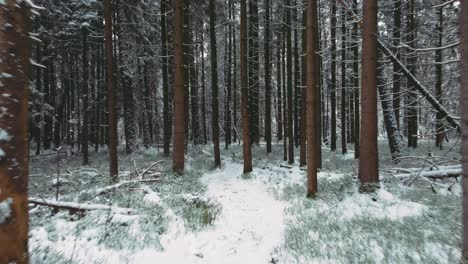 4k-Uhd-Luftdrohnenclip-Eines-Schmalen-Verschneiten-Fußwegs,-Umgeben-Von-Schneebedeckten-Bäumen-In-Einem-Wald-Im-Winter-In-Bayern,-Deutschland