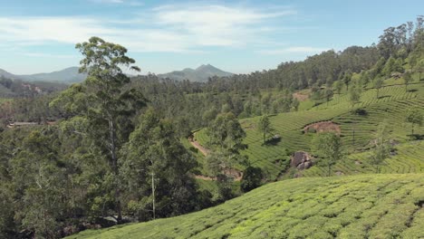 Aerial-4k-drone-footage-panning-the-beautiful-landscape-of-a-valley-of-the-Western-Ghats-mountain-range-near-the-countryside-tea-plantation-town-of-Munnar,-India