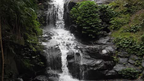 Beautiful-Waterfall-Deep-In-Rainforest-Of-Lamington-National-Park---Gold-Coast,-QLD,-Australia