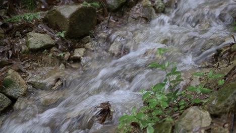 Wasser,-Das-Schnell-Von-Den-Bergen-Durch-Die-Felsen-Fließt