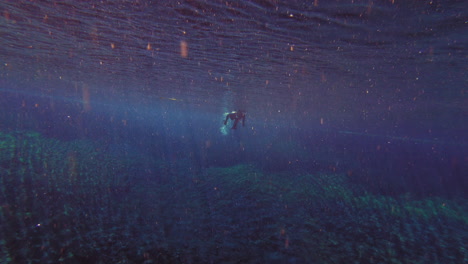Diver-exploring-in-the-dark-waters-full-of-natural-debris