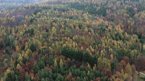 Aerial-tilt-of-autumn-forest-in-hilly-Central-European-landscape
