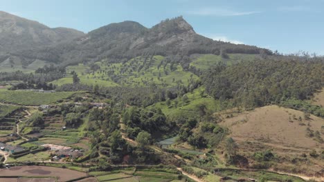 Tierras-De-Cultivo-Y-Plantaciones-De-Té-En-Las-Colinas