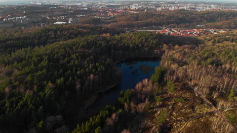 Kleiner-Natürlicher-Teich-Im-Nadelwald-In-Der-Nähe-Des-Stadtgebiets