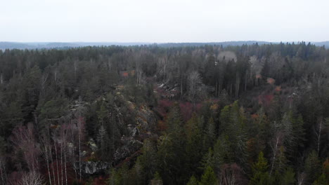 Aerial-View,-Drone-Descends-Over-Pine-Tree-Forest-Wilderness-Landscape