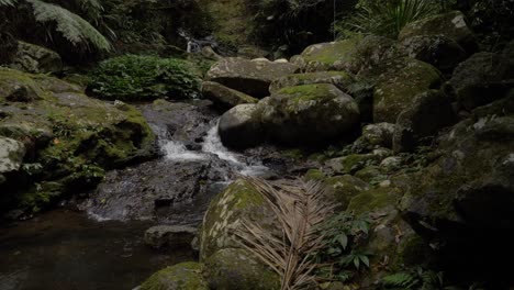 Stream-Flowing-On-Mossy-Rocks-In-Forest-Of-Lamington-National-Park---Gold-Coast-Hinterland-In-Australia