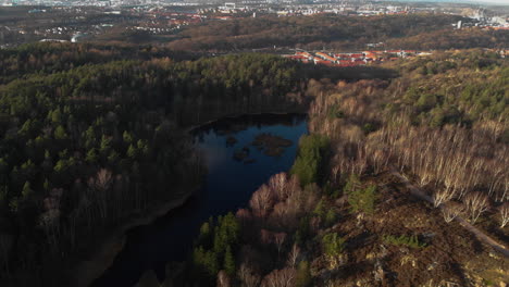 Häuser-Und-Wohngebiet-In-Nadelwaldlandschaft-Luftaufnahme