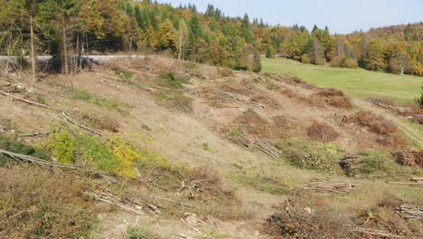 Entwaldung-Luftaufnahme-Des-Zerstörten-Waldes-In-Slowenien