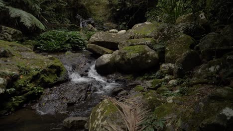 Mountain-Stream-With-Clean-Water-Flowing-On-Rocks-Covered-In-Moss---Lamington-National-Park,-Gold-Coast,-Australia