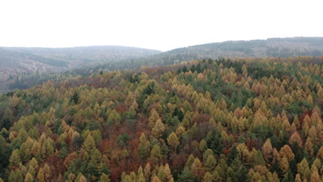 Panning-aerial-shot-of-colorful-autumn-forest-on-hills,-Czech-Republic