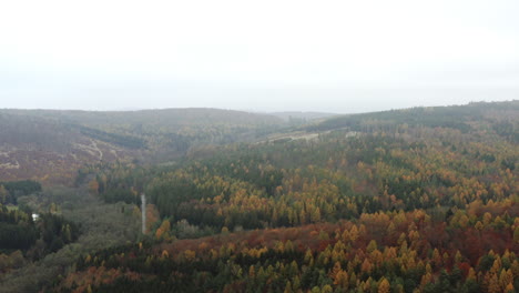 Weite-Waldlandschaft-In-Tschechien-Im-Herbst,-Bunte-Bäume,-Dunstiger-Tag