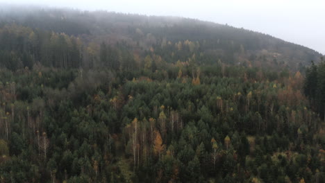 Forward-aerial-of-autumn-forest-on-hill-on-cloudy-day,-Central-Europe