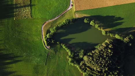 Aerial-shot-of-a-hidden-pond-surrounded-by-trees-on-an-Austrian-mountain-valley,-on-a-sunny-day