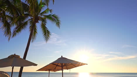 Under-a-bright-tropical-sun,-sun-umbrellas-offer-shade-on-the-beach
