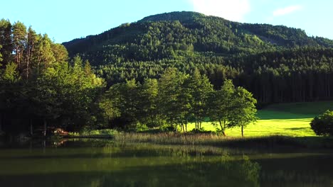 Vista-Aérea-De-Un-Estanque-Rodeado-De-árboles-En-Un-Valle-Montañoso-Austriaco,-En-Un-Día-Soleado