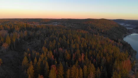 Schöne-Und-Entspannende-Luftaufnahme-Aus-Dem-Schwedischen-Spätherbstwald-Mit-Buntem-Himmel-Im-Hintergrund