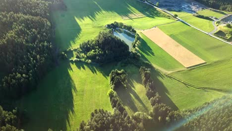 Luftlandschaftsansicht-Eines-Versteckten-Teichs,-Umgeben-Von-Bäumen-In-Einem-österreichischen-Bergtal,-An-Einem-Sonnigen-Tag