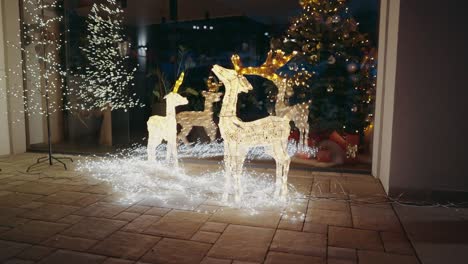 Reindeer-Christmas-decoration-outside-of-a-house