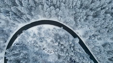 Car-Traveling-on-Road-in-Snowy,-Winter-Tree-Forest