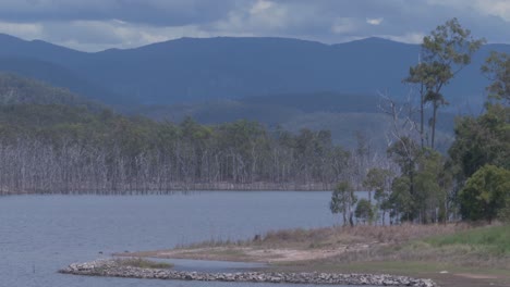 Advancetown-Lake-In-Queensland,-Australia---Impounded-Reservoir-For-Water-Supply-Of-Gold-Coast-Region-Through-Hinze-Dam---static-shot