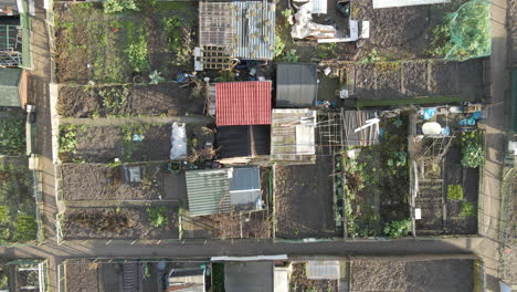 top-down-Aerial-of-kitchen-garden