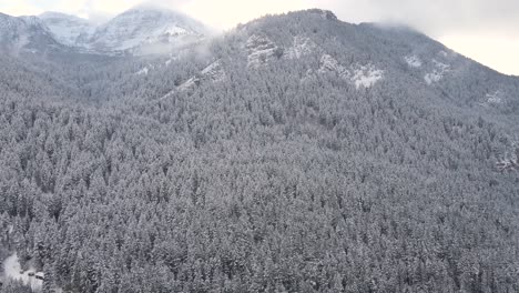 Berglandschaft-Bedeckt-Mit-Kiefern-Im-Winter-Am-American-Fork-Canyon-In-Den-Wasatch-bergen-Von-Utah,-Usa