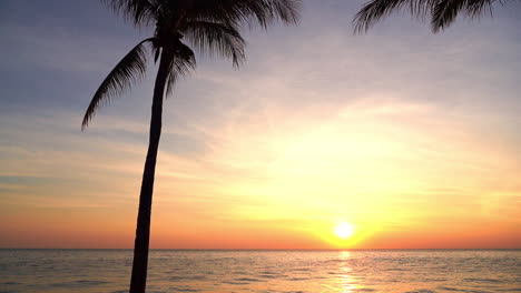 Atemberaubende-Tropische-Sonnenuntergangsszene,-Bunter-Himmel-über-Dem-Meer-Und-Baumsilhouette