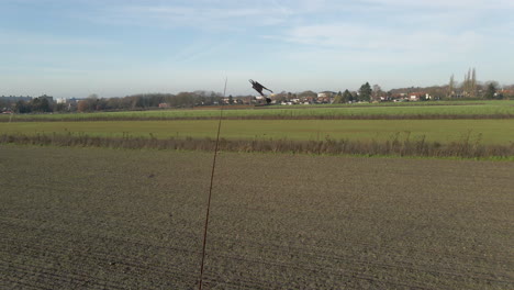 Dolly-of-bird-repellent-kite-flying-in-the-wind-on-farm-field