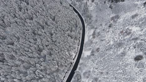 Cinematic-shot-of-cars-driving-on-curvy-road-in-snowy-forest