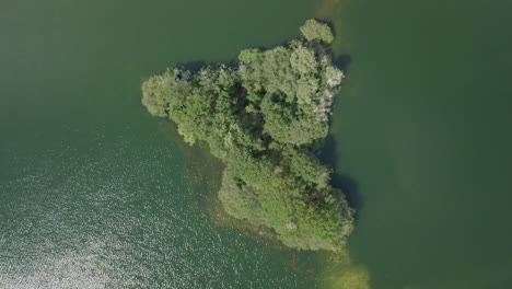 Aerial-drone-shot-of-the-top-down-view-of-the-island-at-the-lake