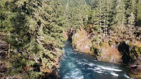 My-drone-malfunctioned-and-flew-down-to-the-water-level-while-showing-forest,-cliffs-and-river-rapids
