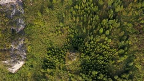 Chinese-mountainous-forest-landscape,-aerial-top-down-view
