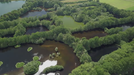Aerial-drone-shot-flying-over-the-watery-landscape-in-the-Netherlands