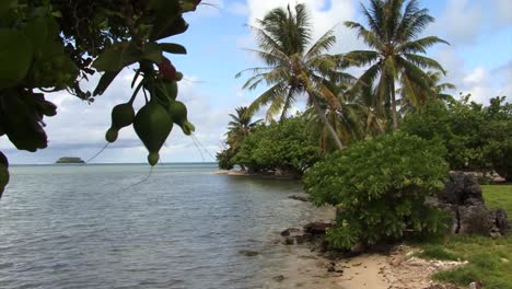 Beautiful-landscape-in-Raiatea,-French-Polynesia