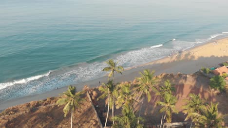 Tropical-beach-shoreline-with-warm-Arabian-sea-waters-and-palm-trees-in-Varkala,-Kerala,-India---Aerial-Fly-over-shot