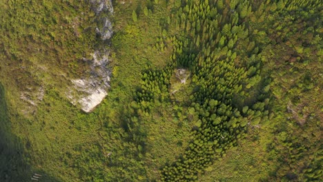Karst-mountain-forest-landscape,-aerial-top-down-view