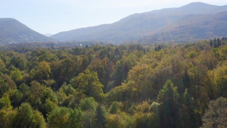 Aerial-Over-Lush-Autumnal-Woodland-Forest-In-Sentrupert,-Slovenia