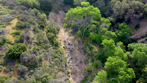 Imágenes-De-Drones-Tomadas-Cerca-De-Lake-Hughes-Road-En-Castaic,-California
