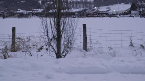 Dolly-following-a-rustic-countryside-fence-in-winter
