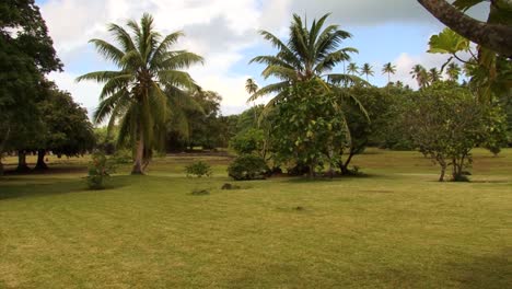 Palm-trees-landscape-at-Taputapuatea-marae,-Raiatea,-French-Polynesia