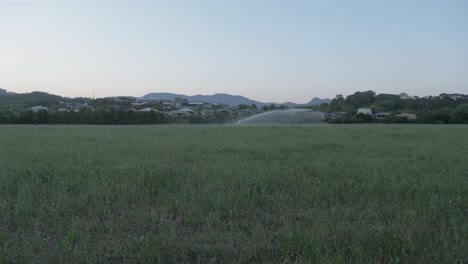 Irrigation-Sprinkler-System-Watering-Lush-Field-In-Wollumbin