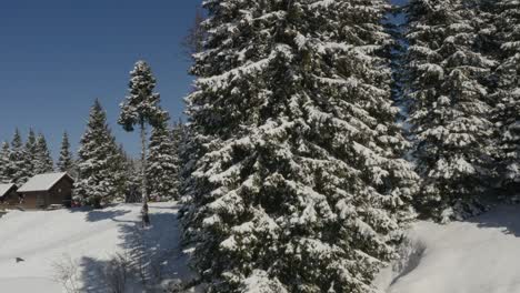 Winterresort-Kope-In-Den-Pohorje-Bergen-Mit-Besuchern-Beim-Rodeln-Und-Wandern-Auf-Einer-Skipiste,-Steigender-Luftsockel