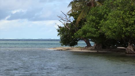 Pequeña-Playa-Y-árboles-En-Raiatea,-Polinesia-Francesa