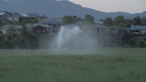Sprinkler-Irrigation-System-Watering-Crops-On-Farmland---Wollumbin-National-Park-In-NSW,-Australia---slow-motion