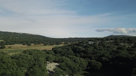 Aerial,-moving-up-at-a-countryside-full-of-trees