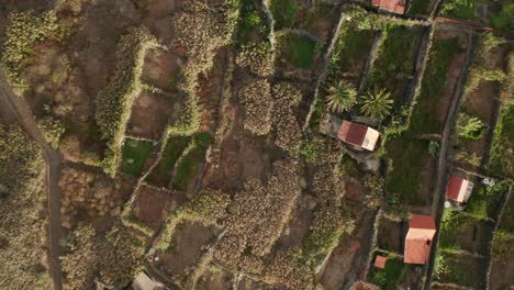 Farmland-divided-by-hedges-creating-block-pattern-at-Calhau-das-Achadas